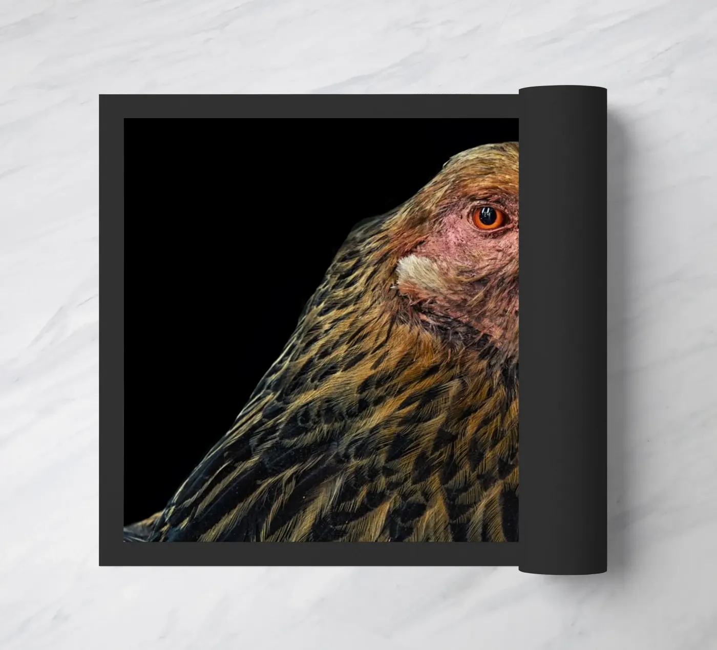 Gallina imponente zerbino da Curious Collections by Marielle Leenders