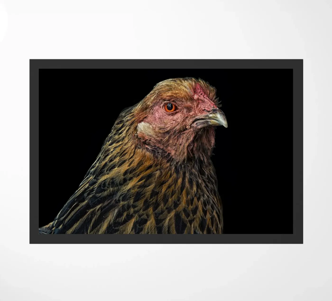Gallina imponente zerbino da Curious Collections by Marielle Leenders
