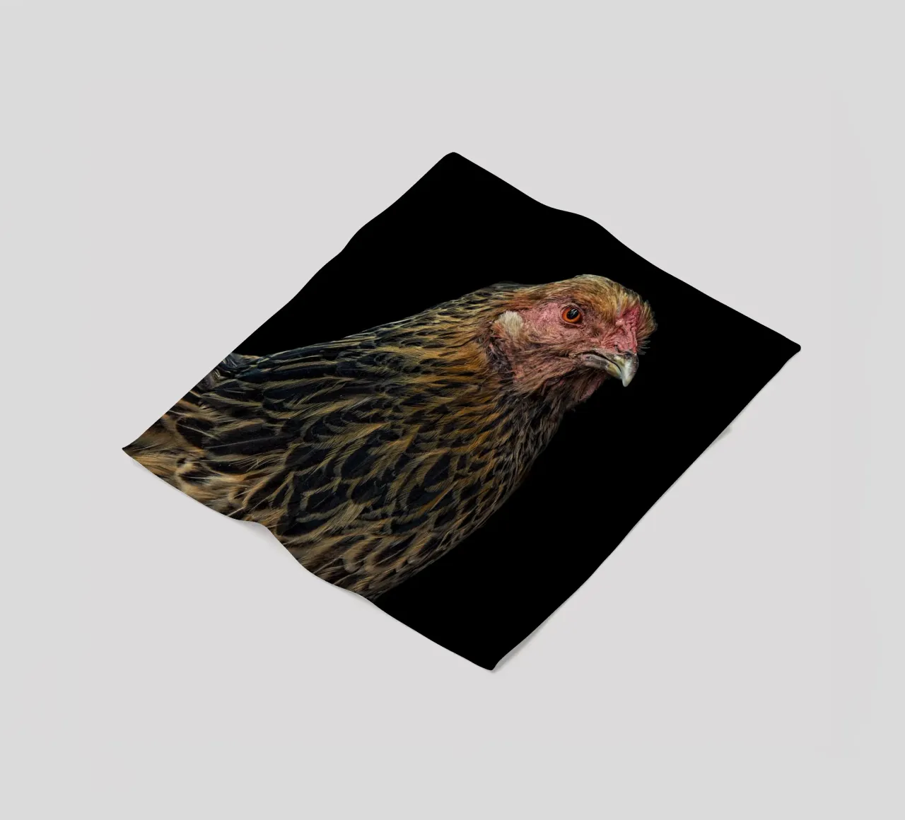 Gallina imponente coperta in pile da Curious Collections by Marielle Leenders