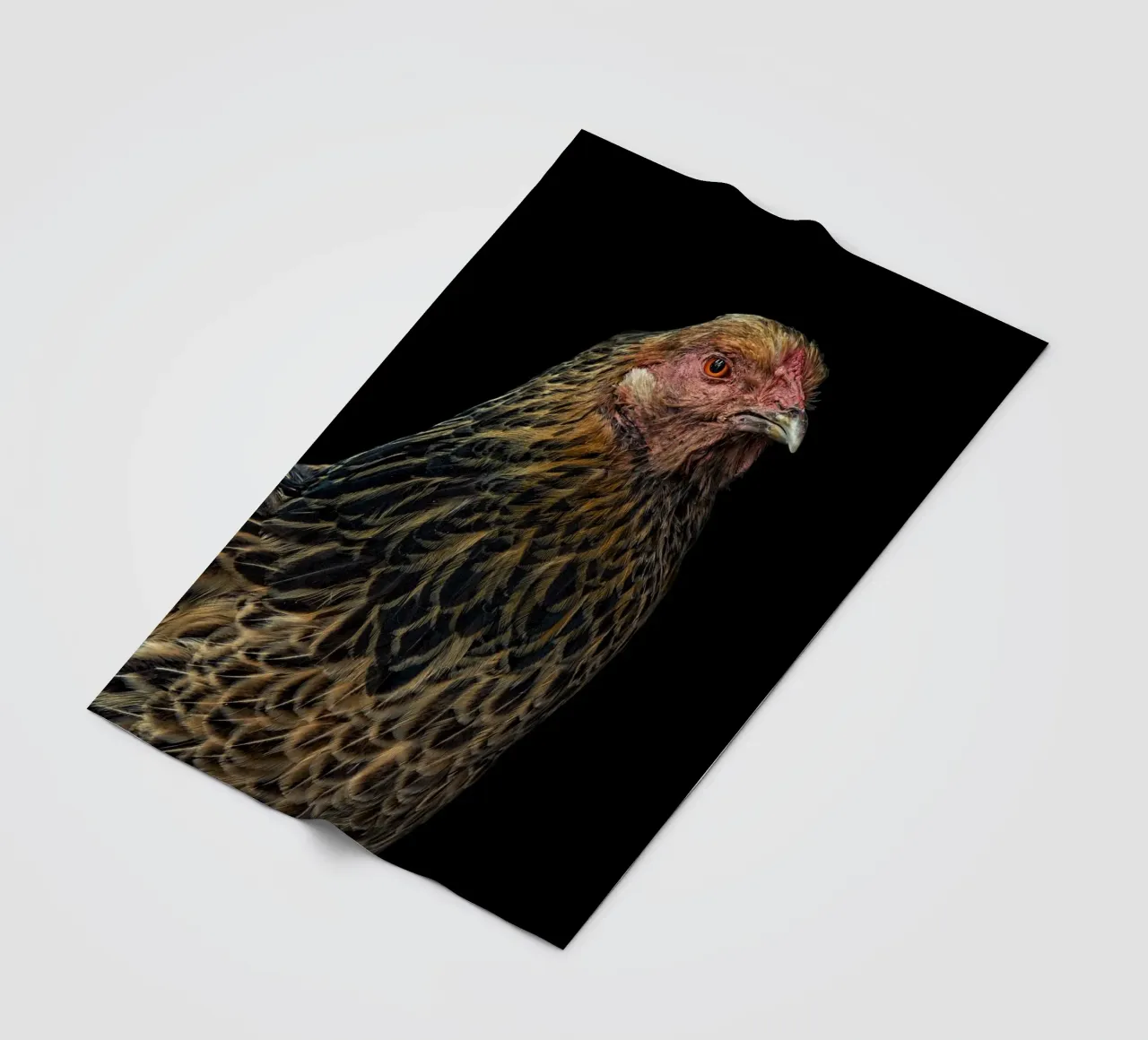 Gallina imponente coperta in pile da Curious Collections by Marielle Leenders