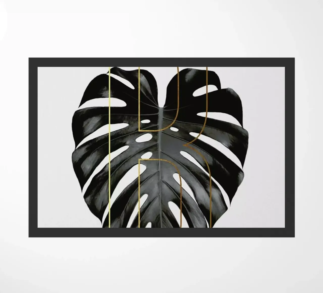 ABC Plants - B zerbino da typealive