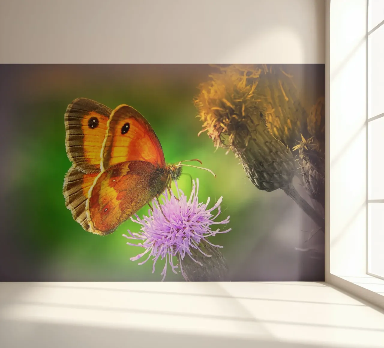 FAA85 photo wallpaper by Thierry vobmann photography
