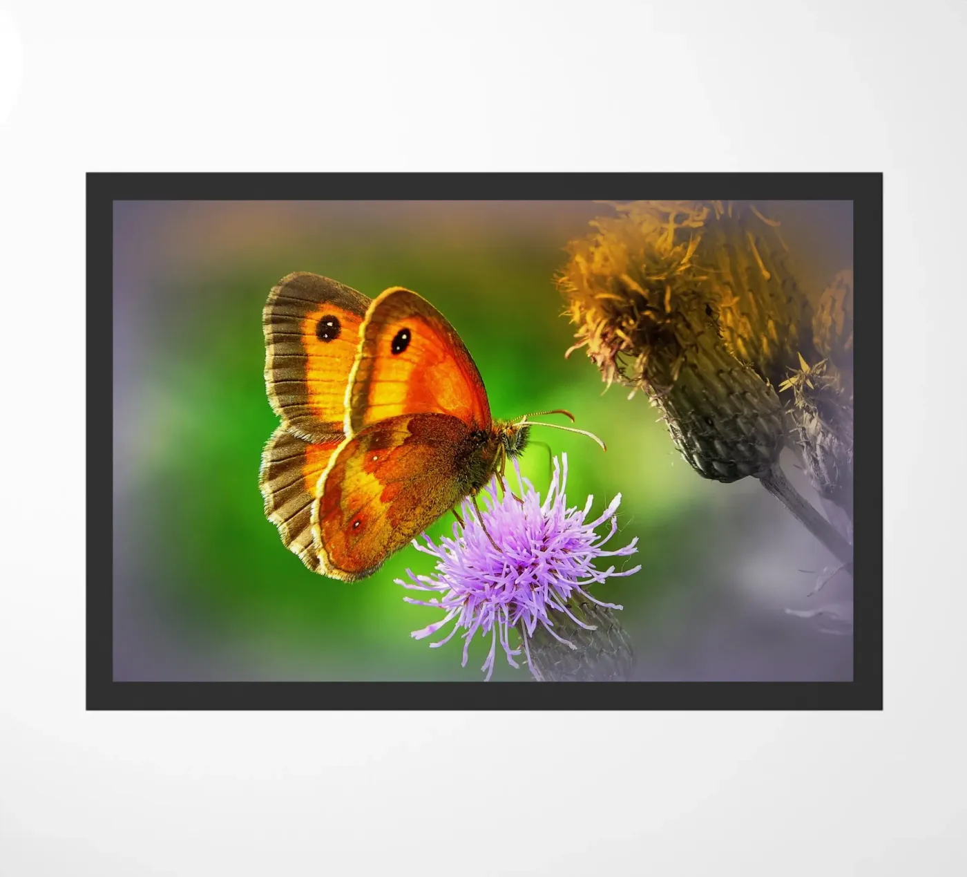 FAA85 Fußmatte von Thierry vobmann photography