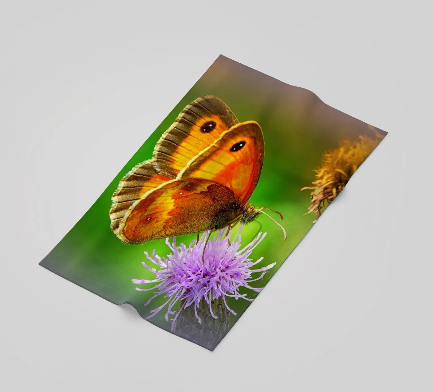 FAA85 strandhanddoek van Thierry vobmann photography