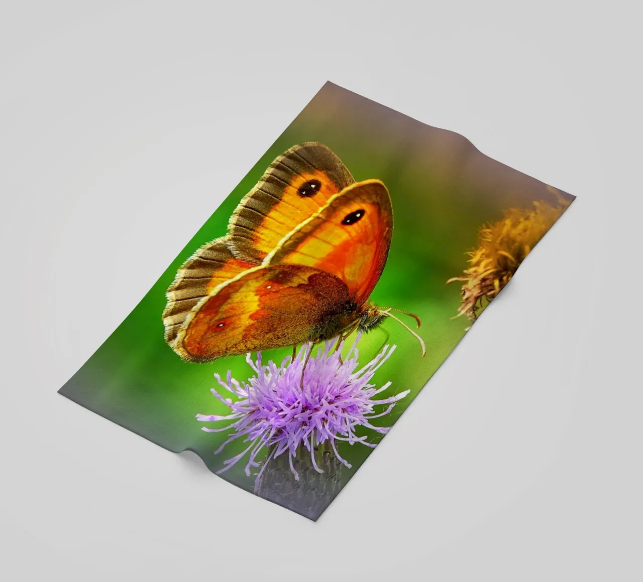 FAA85 telo mare da Thierry vobmann photography