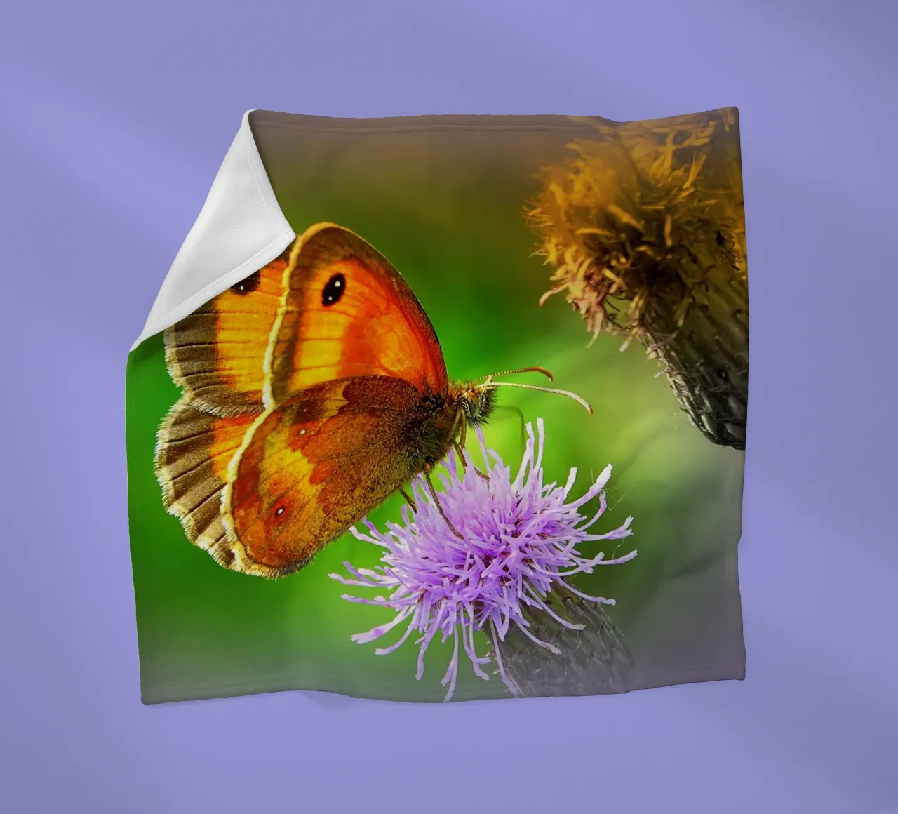 FAA85 Fleecedecke von Thierry vobmann photography