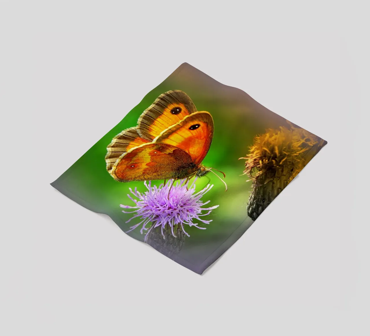 FAA85 Fleecedecke von Thierry vobmann photography