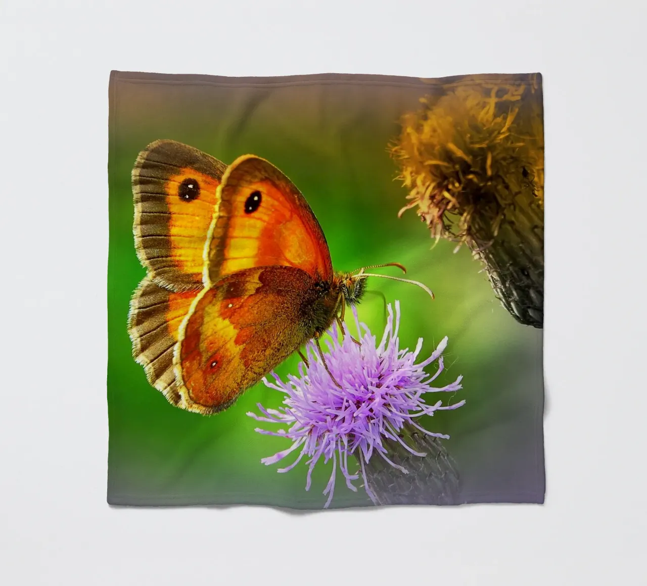 FAA85 Fleecedecke von Thierry vobmann photography