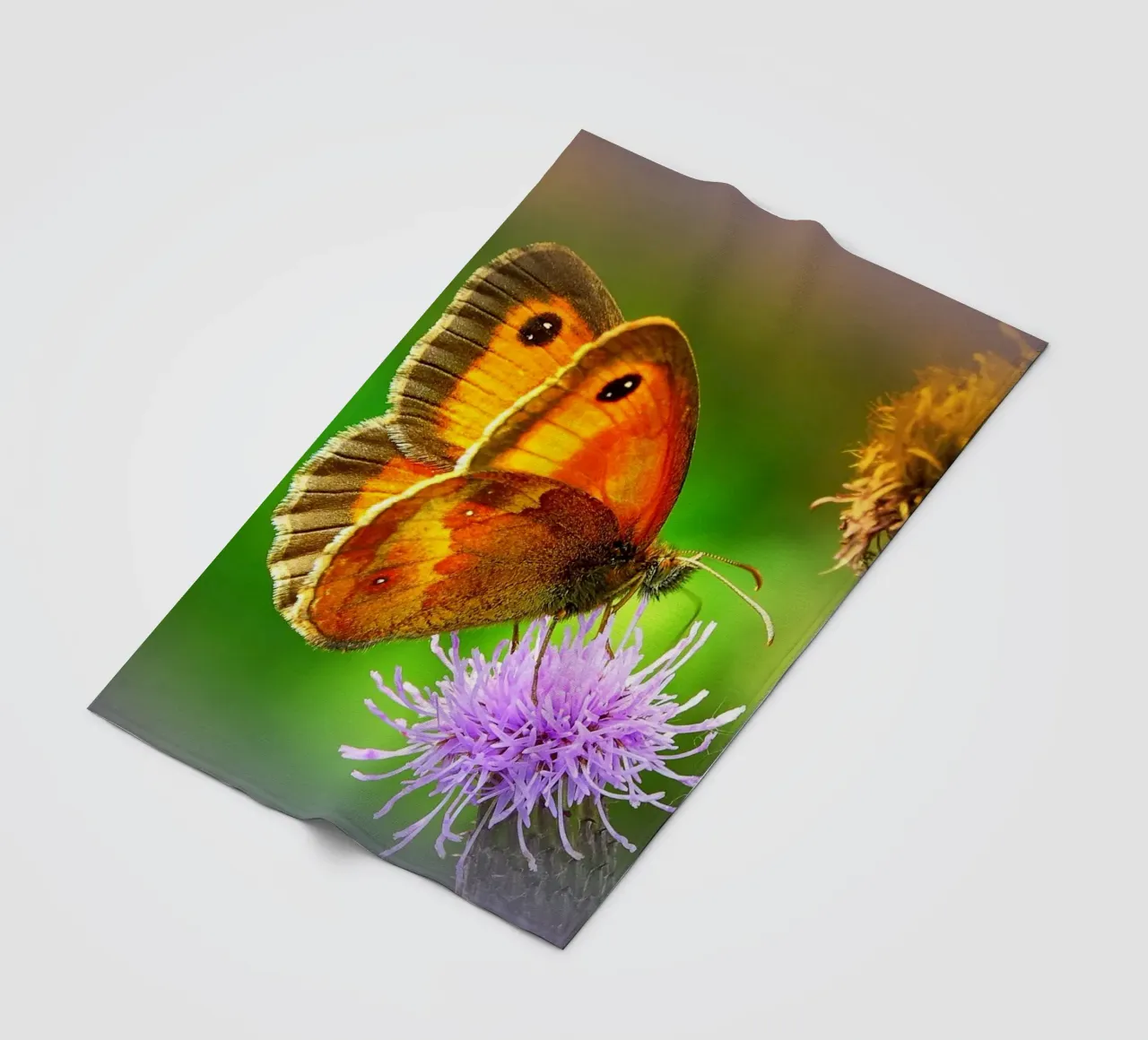 FAA85 Fleecedecke von Thierry vobmann photography