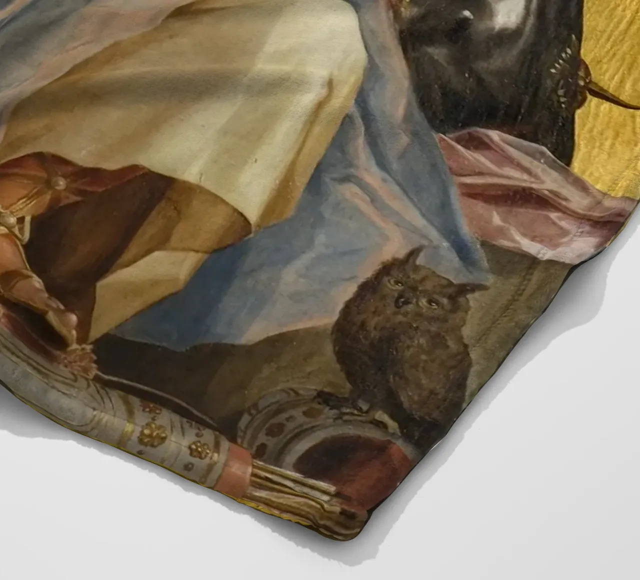 Johan Sylvius - Minerva coperta in pile da William Store