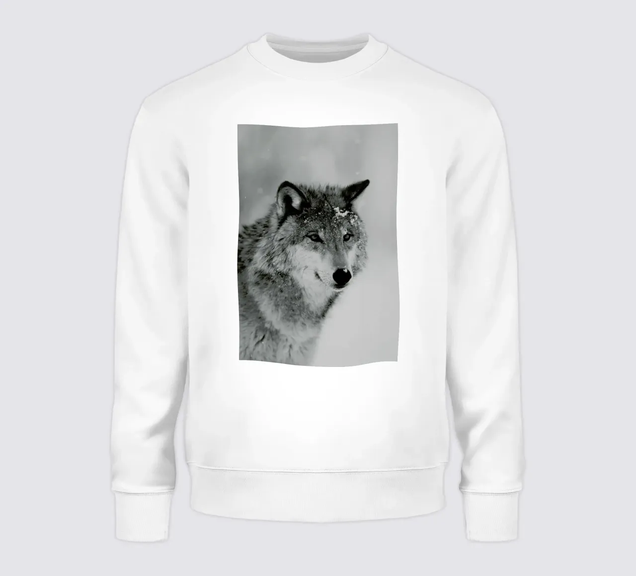 The Wolf felpa da Studio One