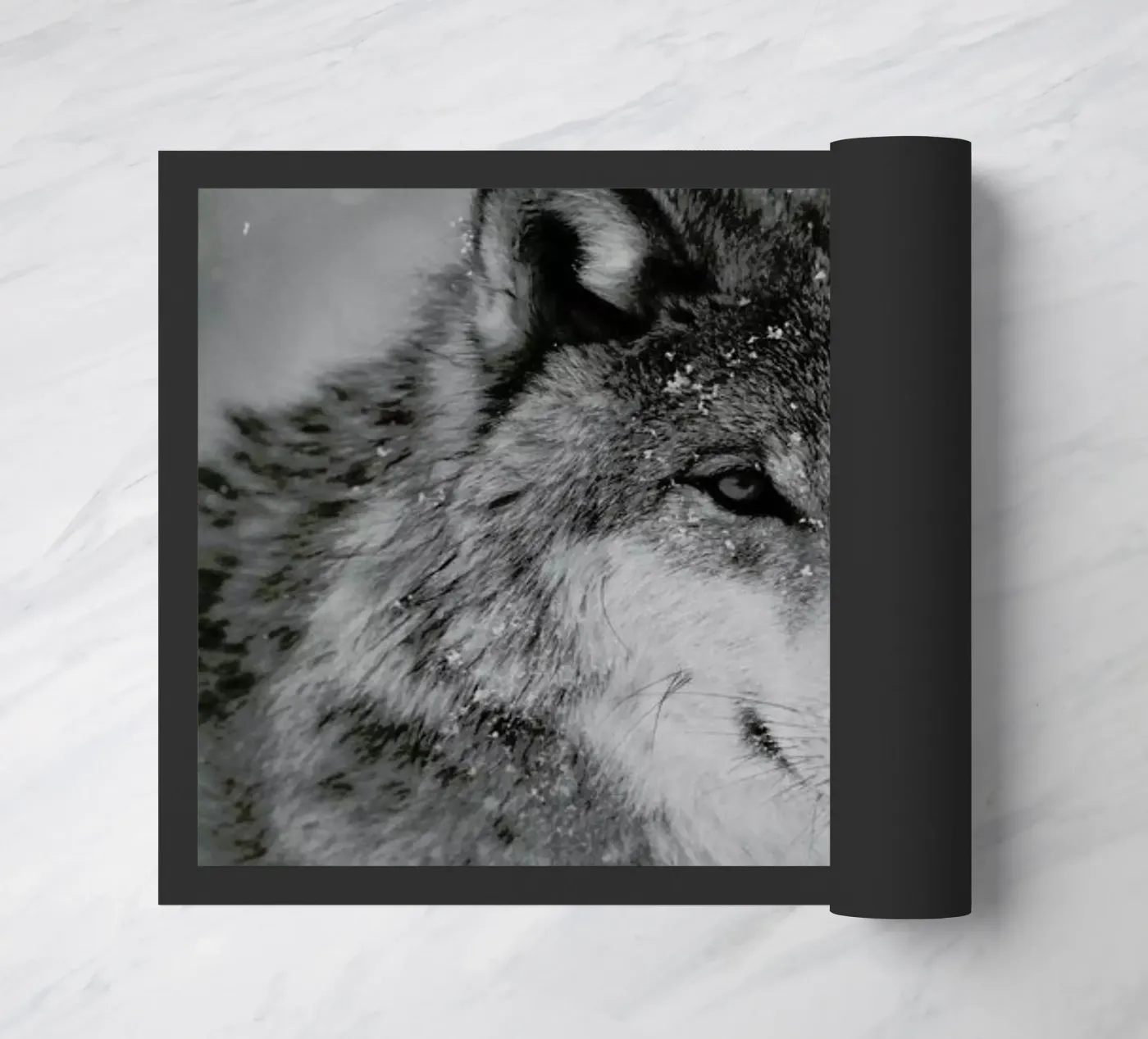 The Wolf zerbino da Studio One