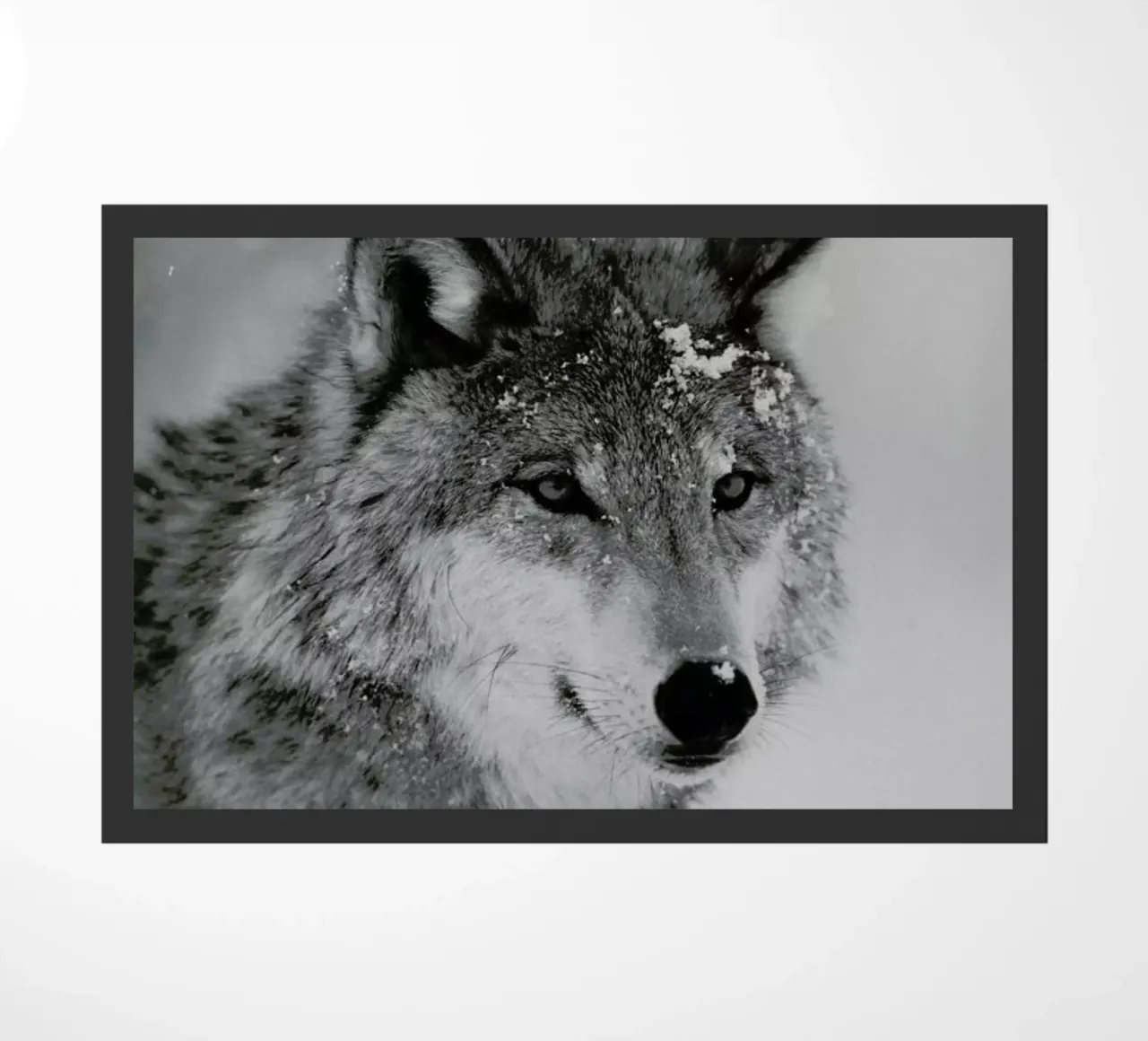 The Wolf deurmat van Studio One