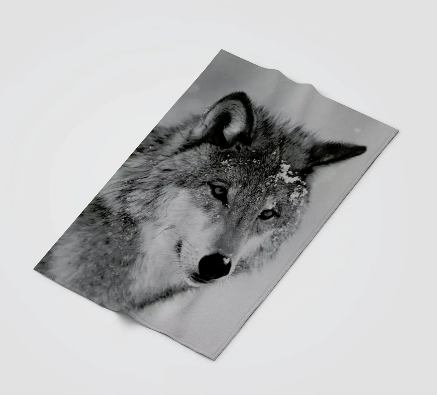 The Wolf Fleecedecke von Studio One