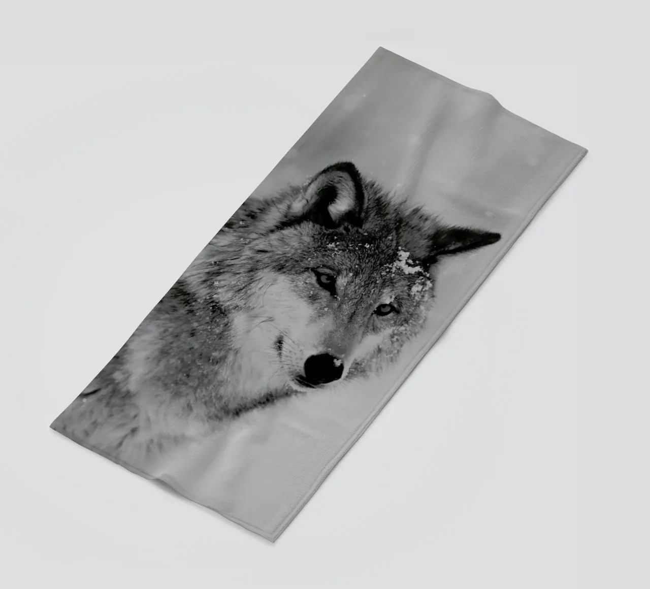 The Wolf telo mare da Studio One