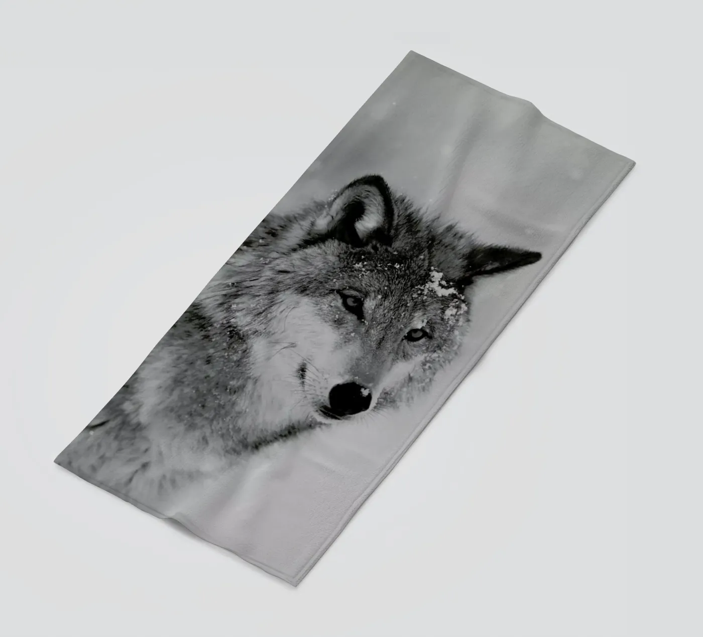 The Wolf telo mare da Studio One