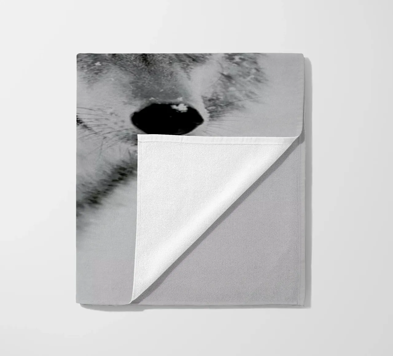 The Wolf telo mare da Studio One