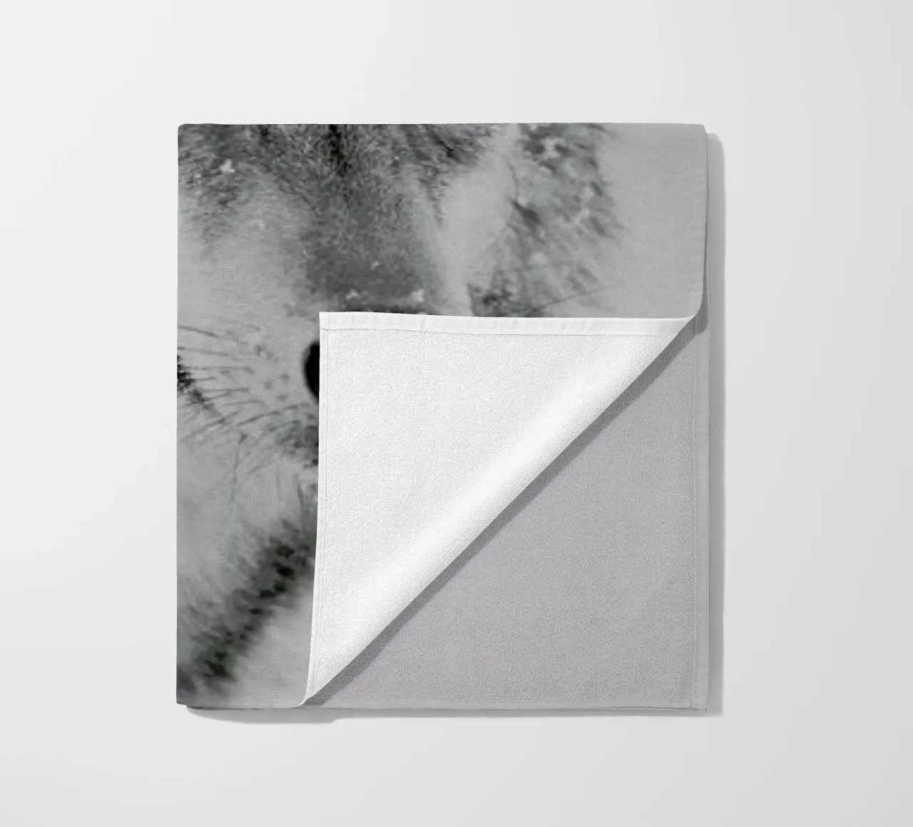 The Wolf telo mare da Studio One