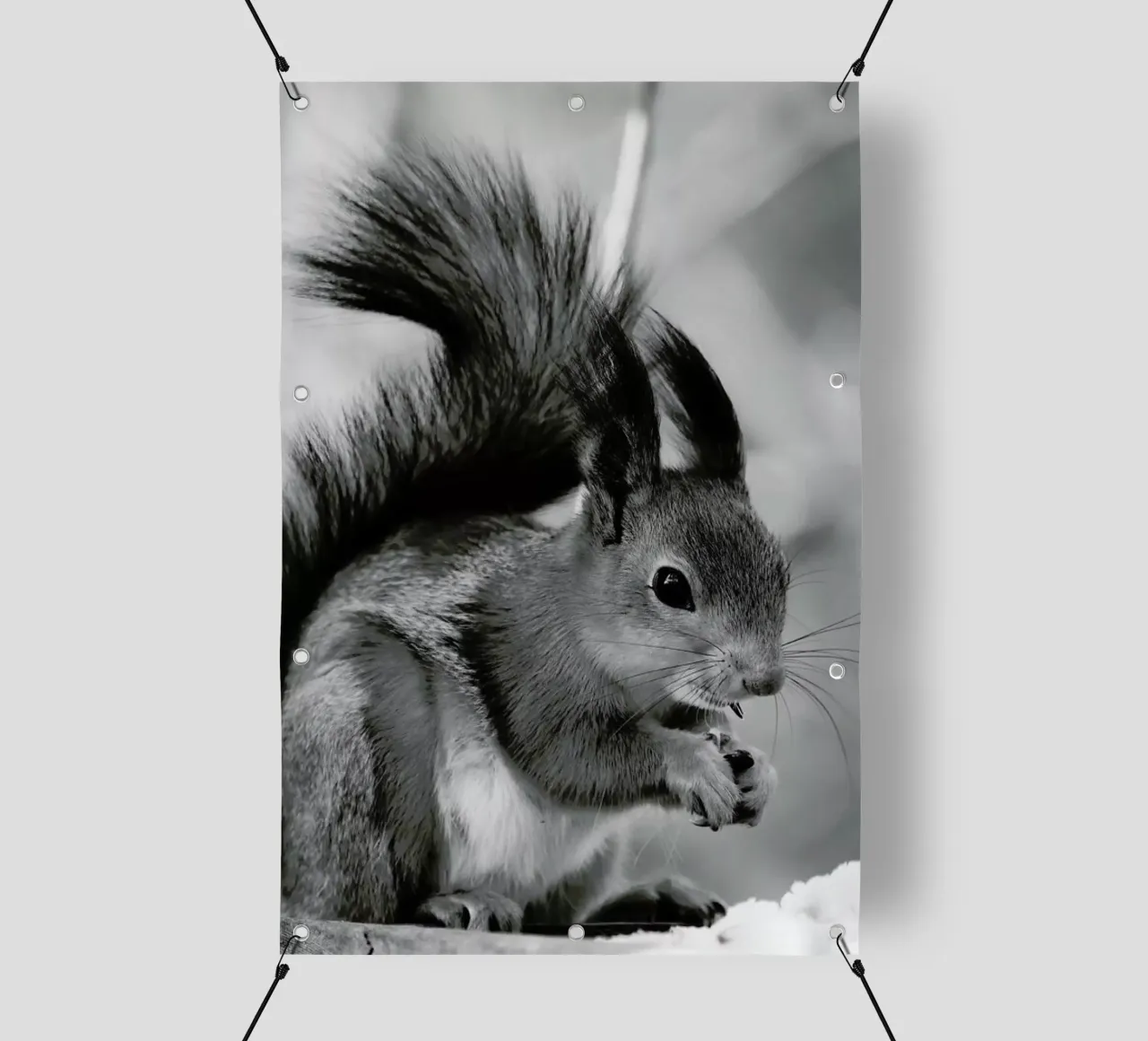 The Squirrel telo in pvc da Studio One