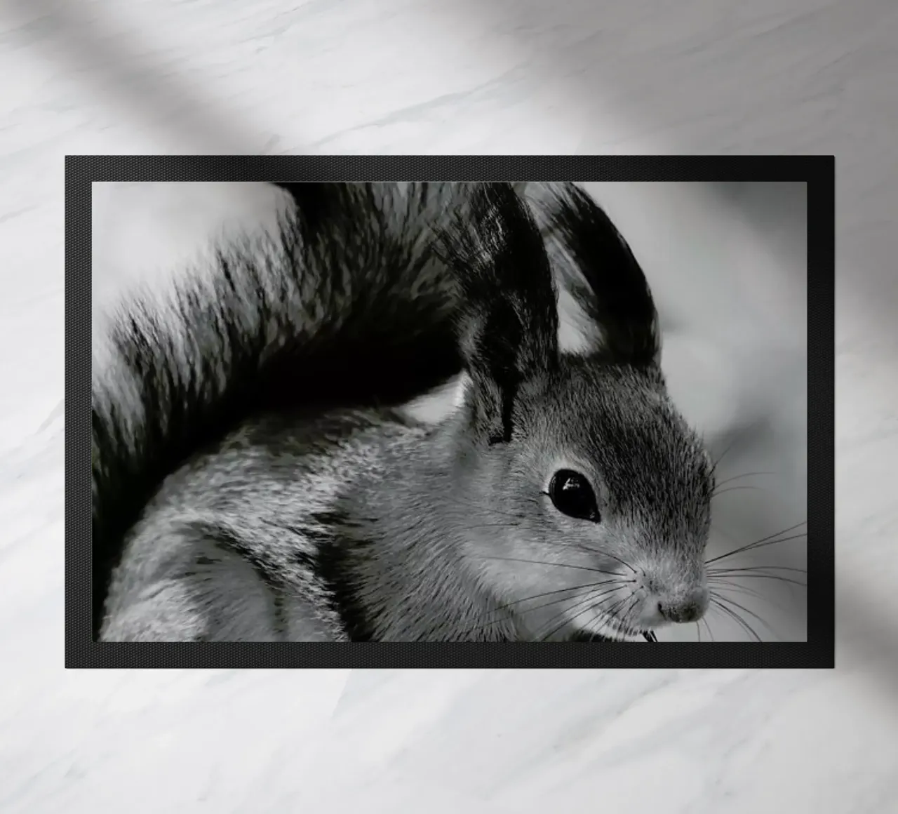 The Squirrel zerbino da Studio One