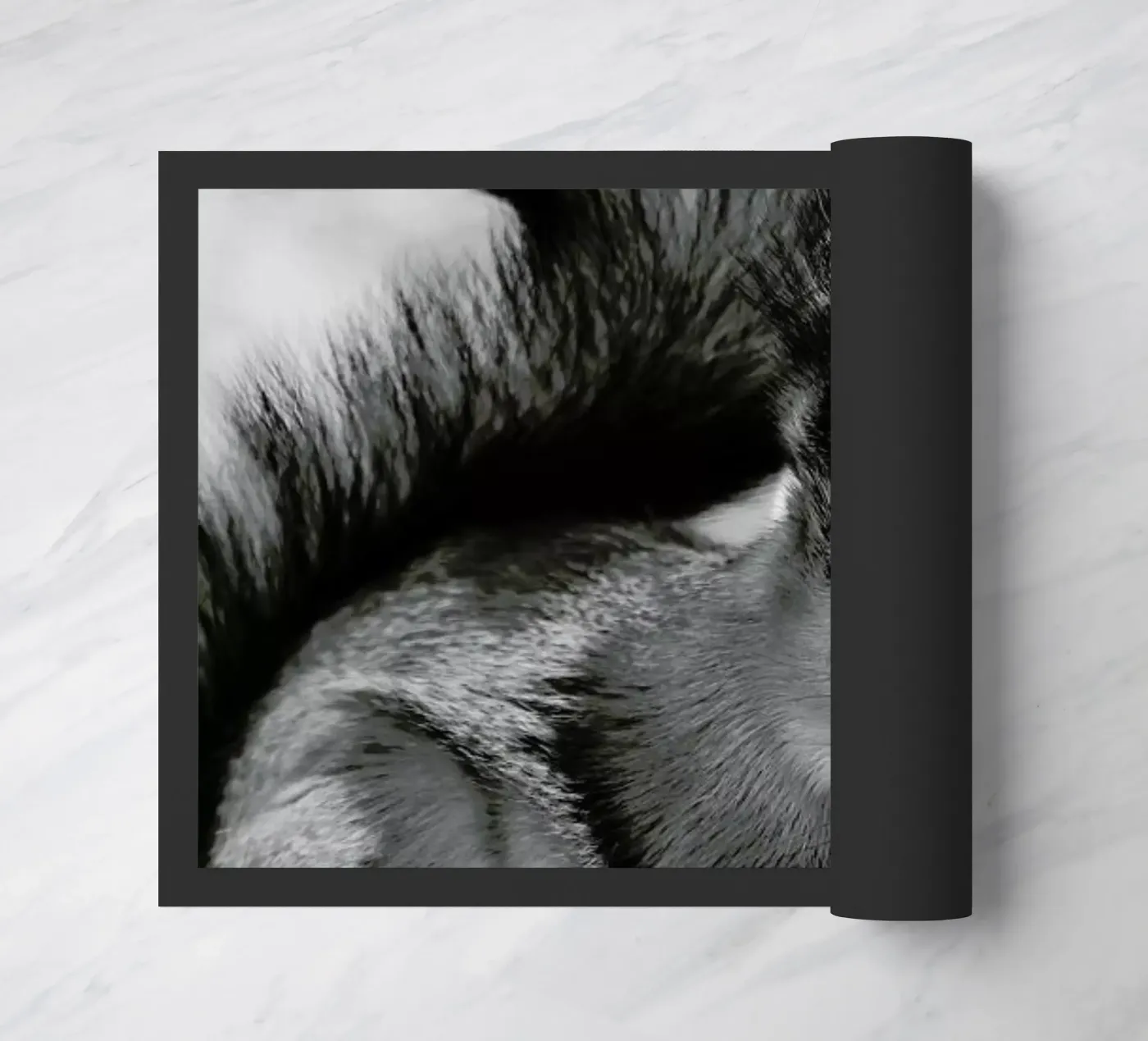 The Squirrel doormat by Studio One