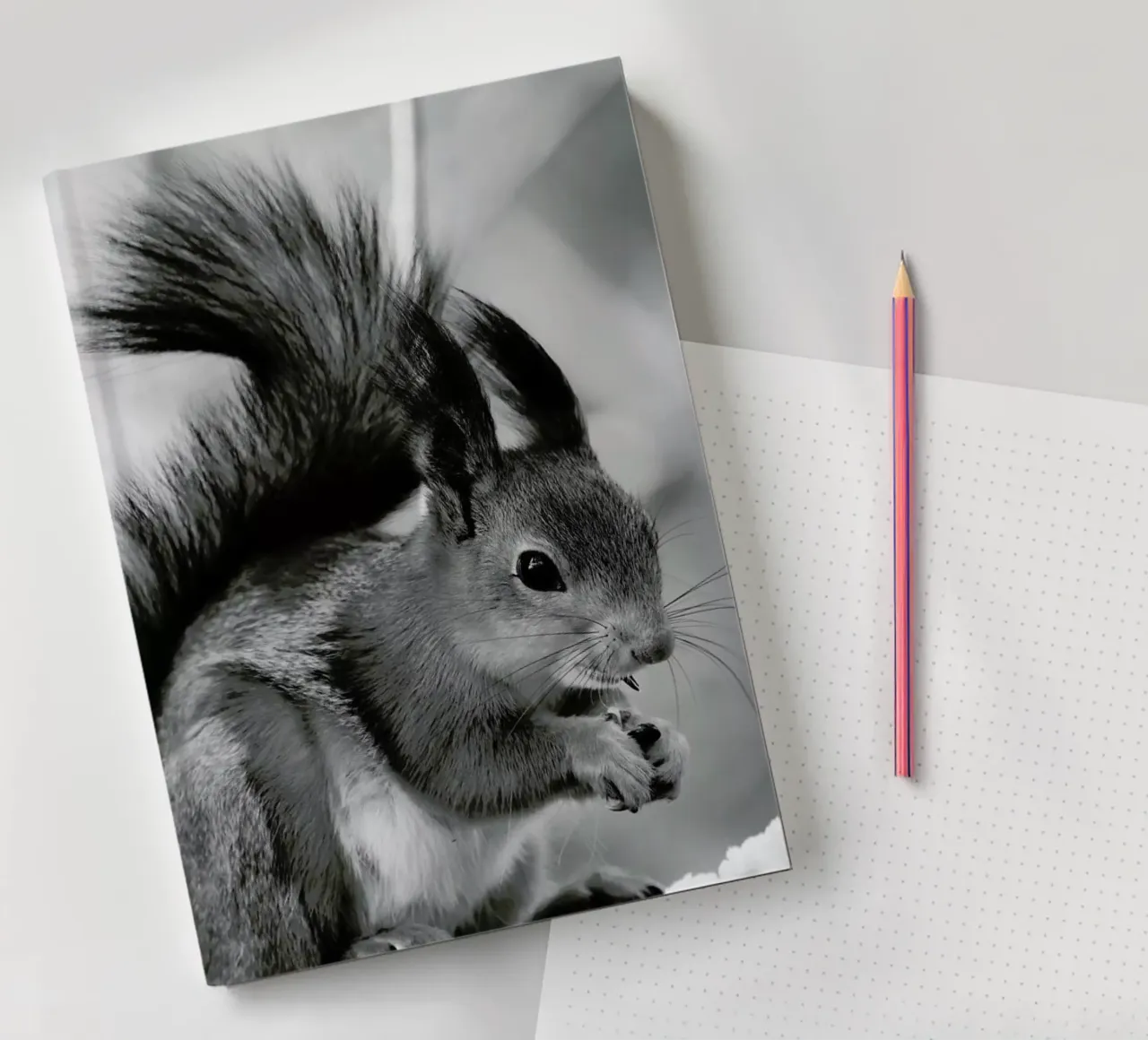The Squirrel notebook by Studio One