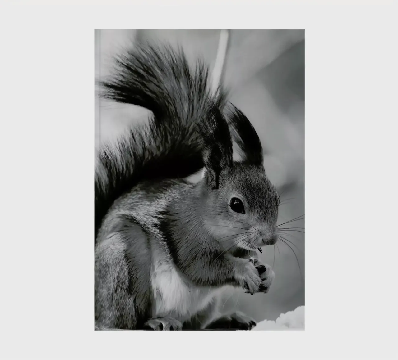 The Squirrel notebook by Studio One