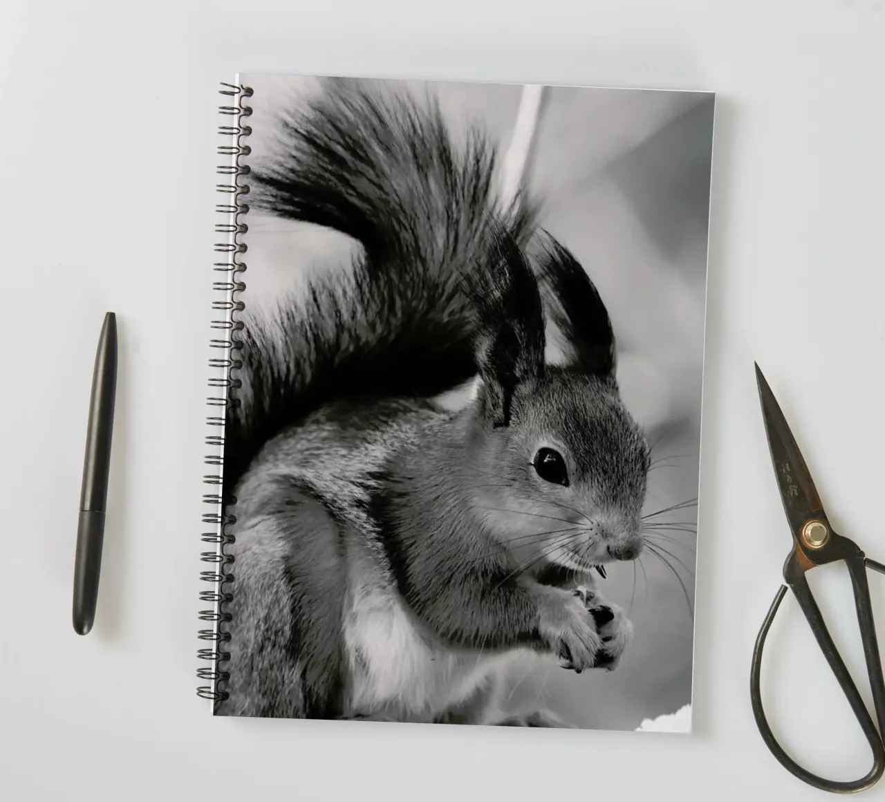 The Squirrel spiral notebook by Studio One