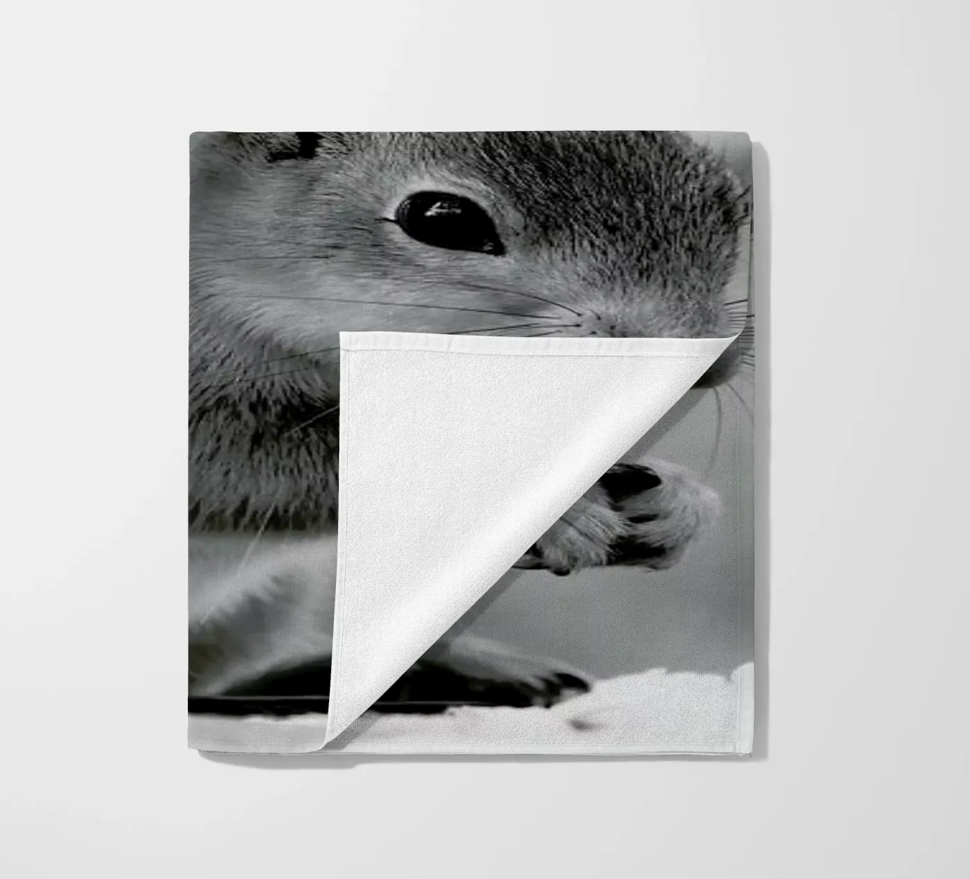 The Squirrel strandhanddoek van Studio One