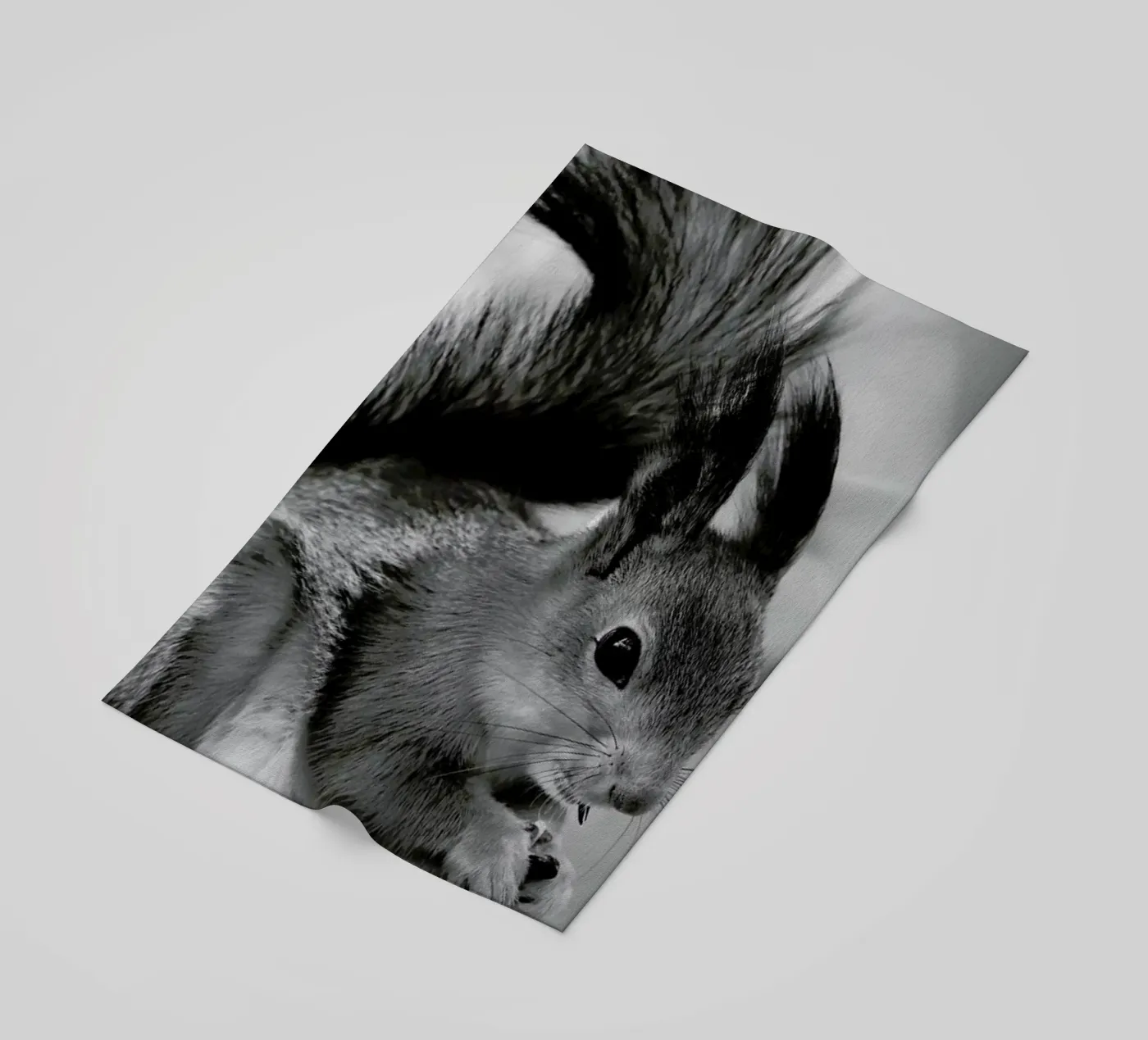 The Squirrel strandhanddoek van Studio One