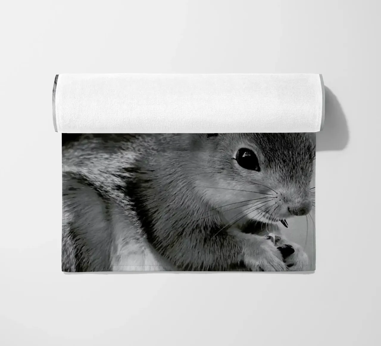 The Squirrel telo mare da Studio One