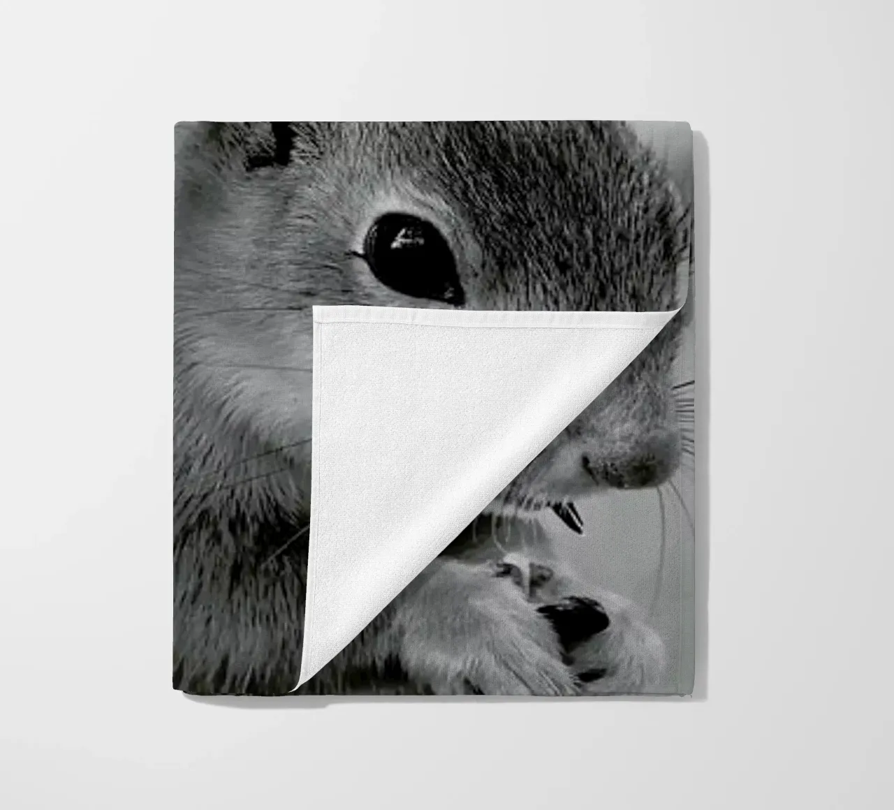 The Squirrel telo mare da Studio One