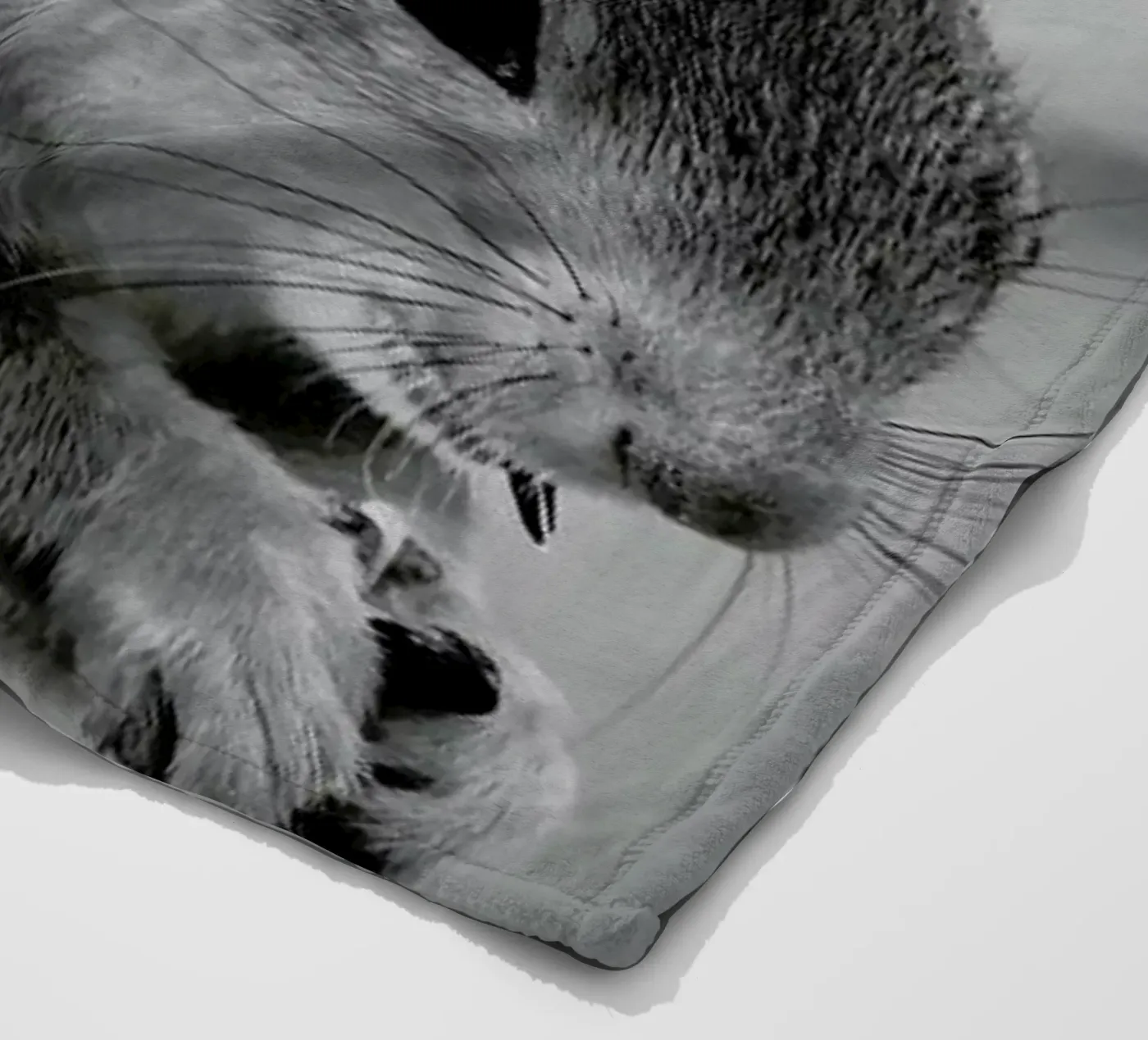 The Squirrel coperta in pile da Studio One