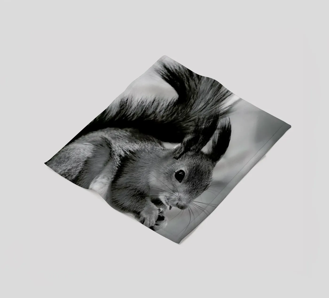 The Squirrel coperta in pile da Studio One