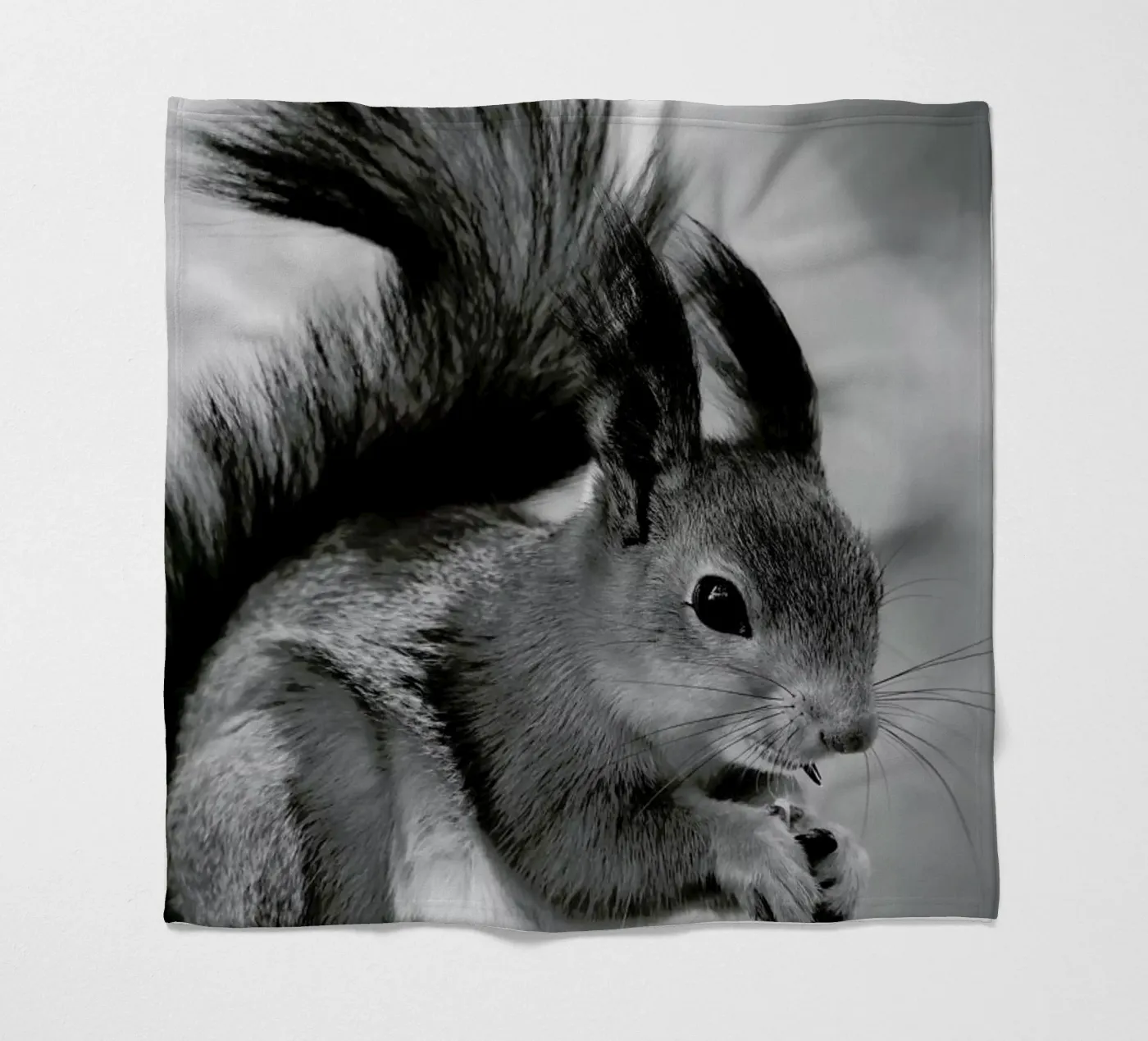 The Squirrel coperta in pile da Studio One