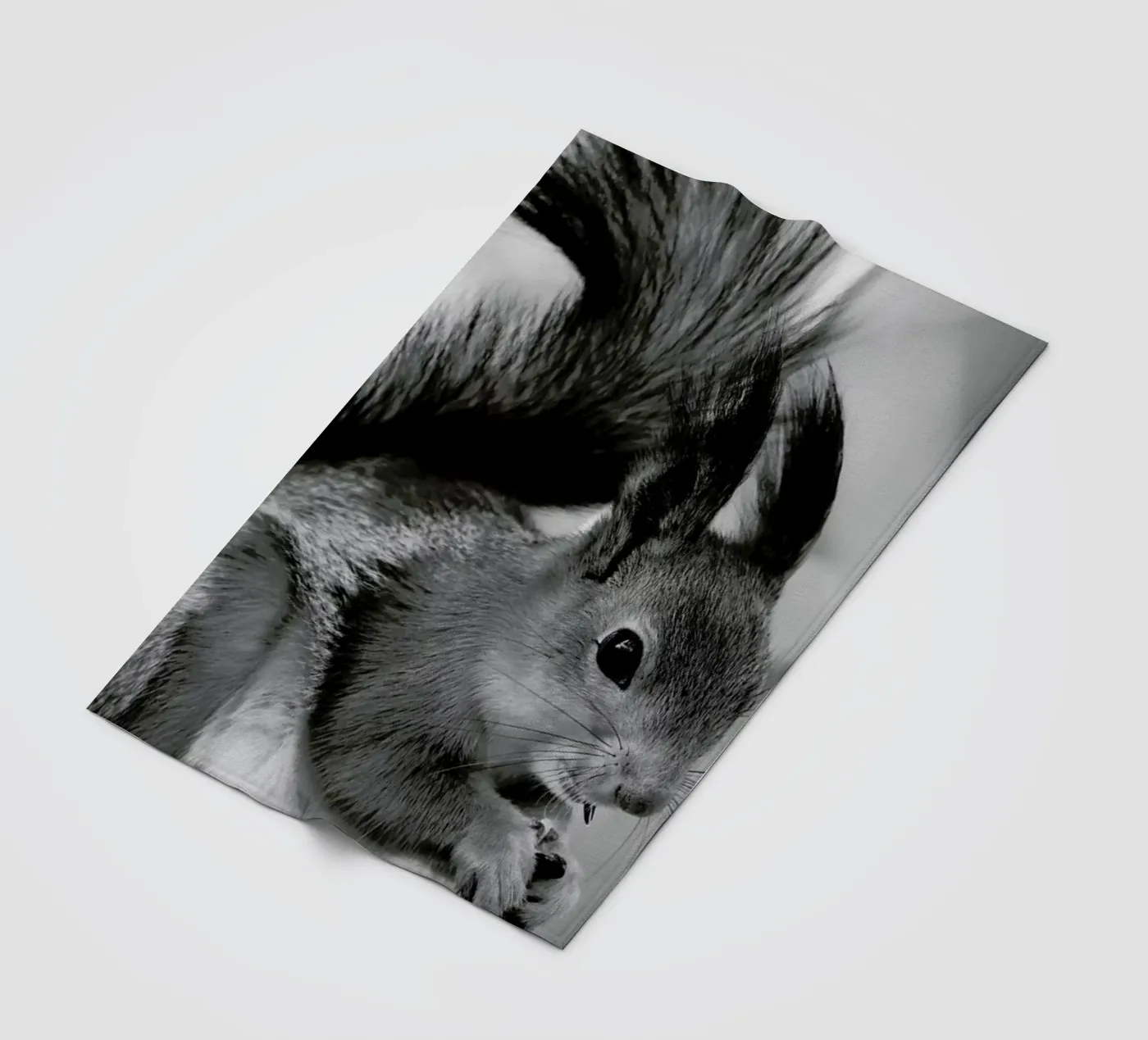 The Squirrel coperta in pile da Studio One