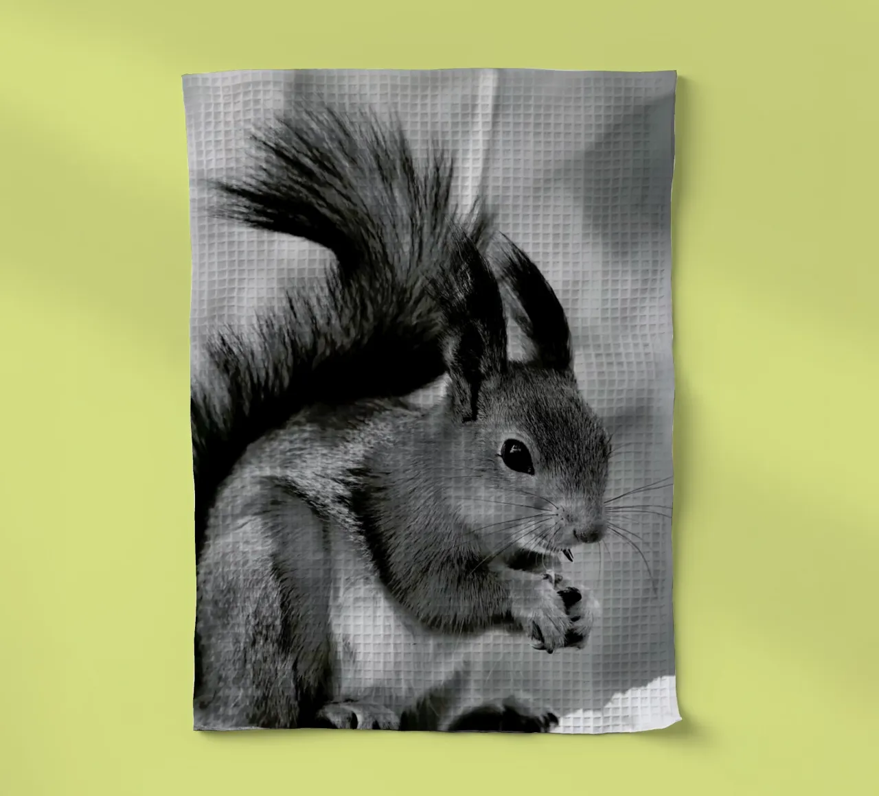 The Squirrel canovaccio da cucina da Studio One