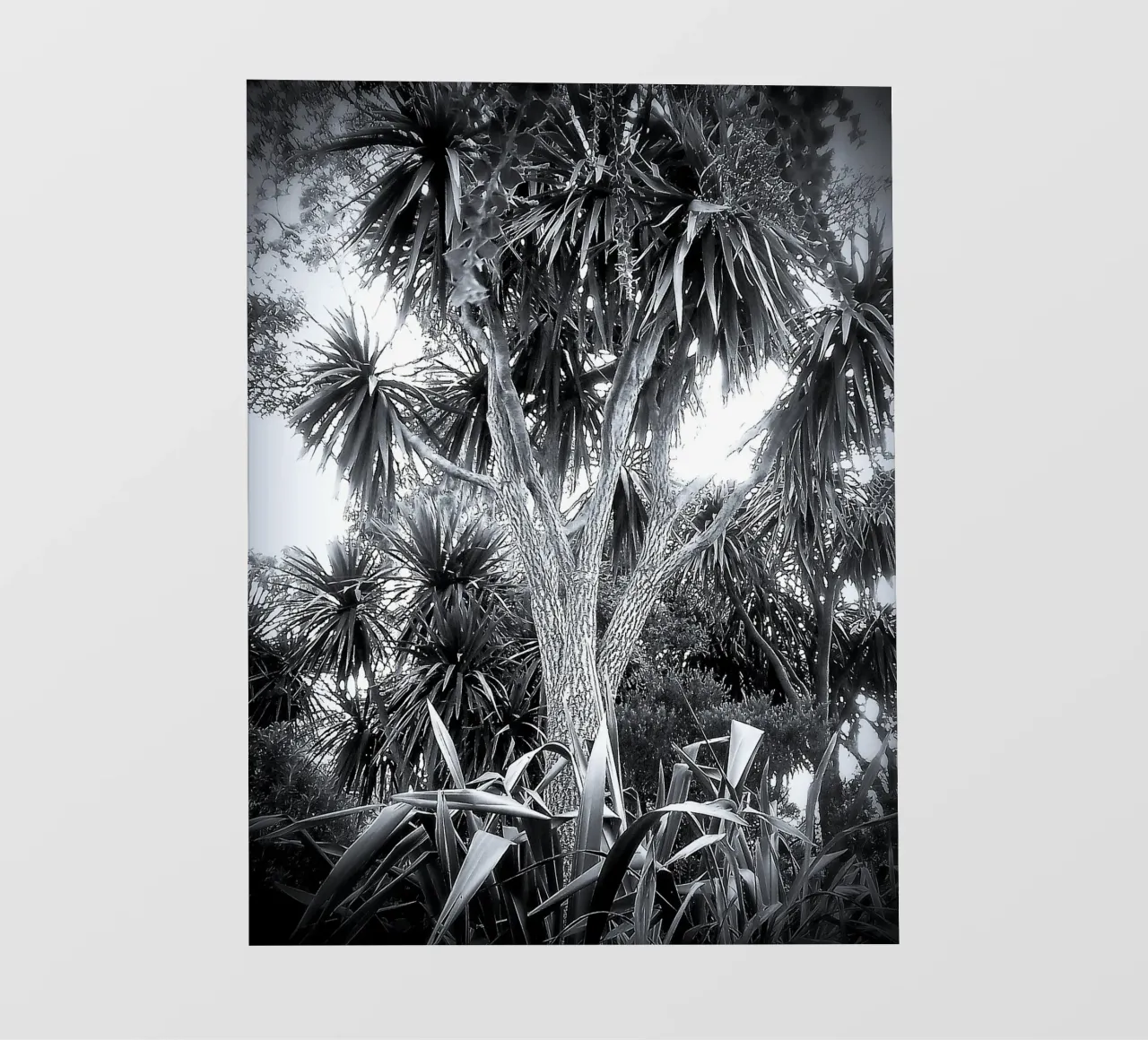 BW14 telo in pvc da Thierry vobmann photography