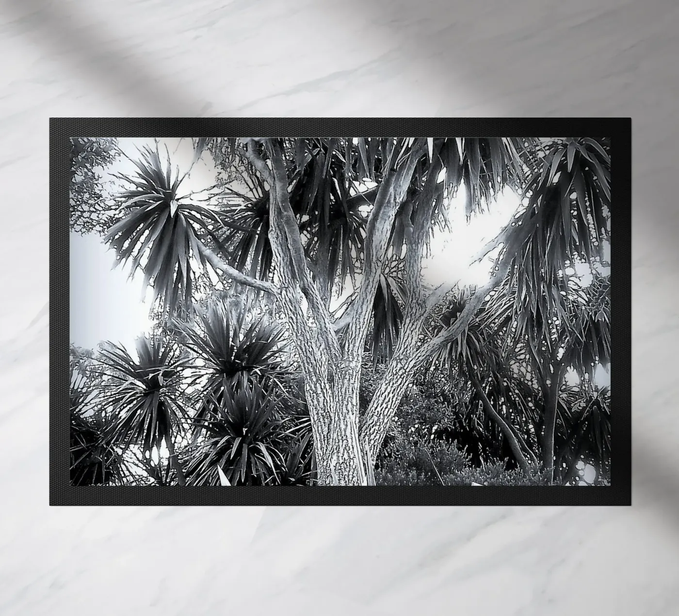 BW14 doormat by Thierry vobmann photography