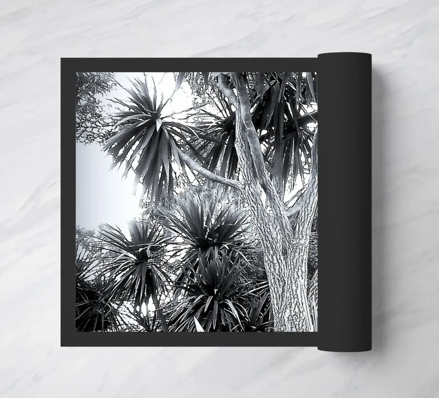 BW14 doormat by Thierry vobmann photography