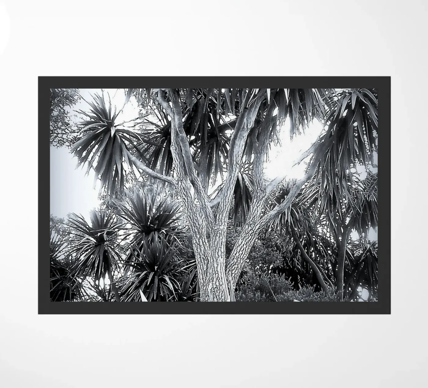 BW14 doormat by Thierry vobmann photography