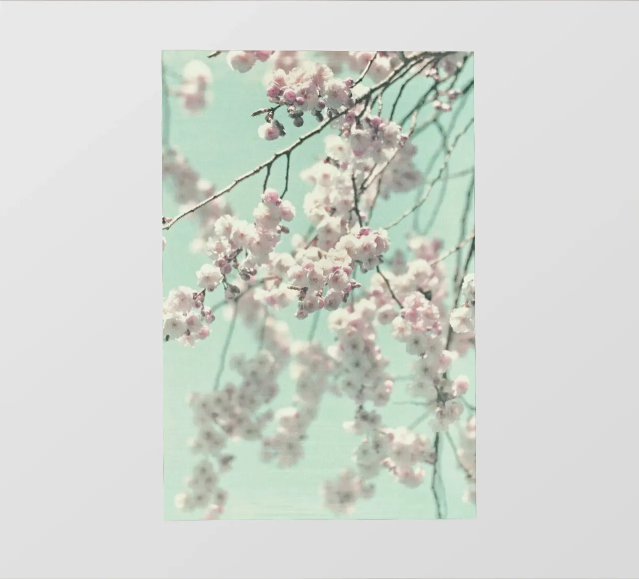 Happy Spring pellicola backlit da Monika Strigel