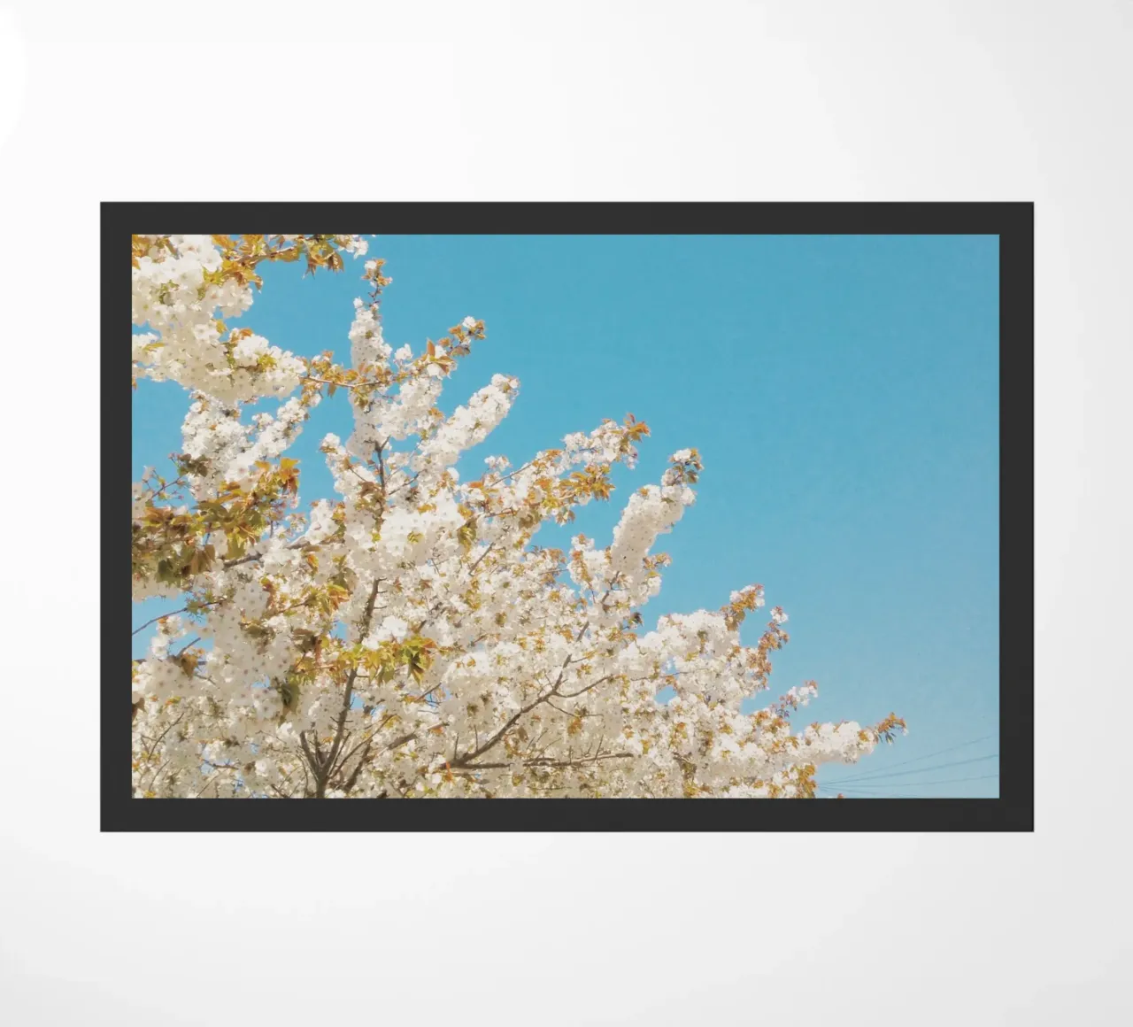 Bloemengolf deurmat van Cassia Beck Photography