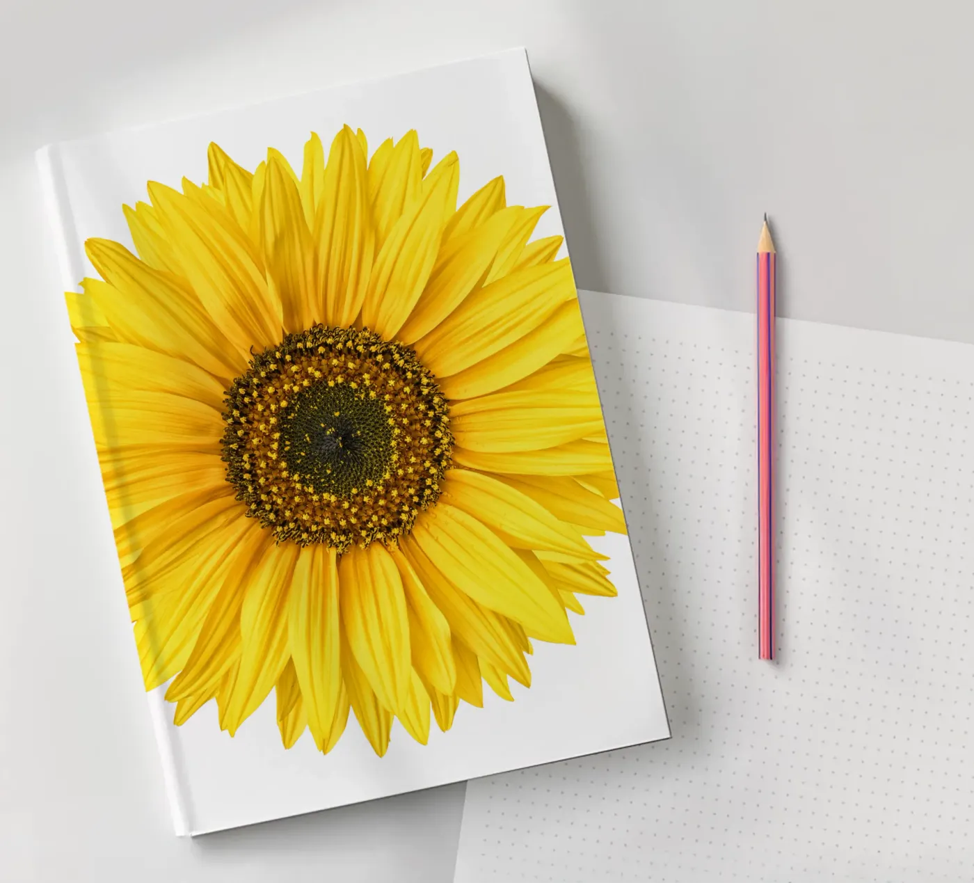 Sunflower notebook by Curious Collections by Marielle Leenders