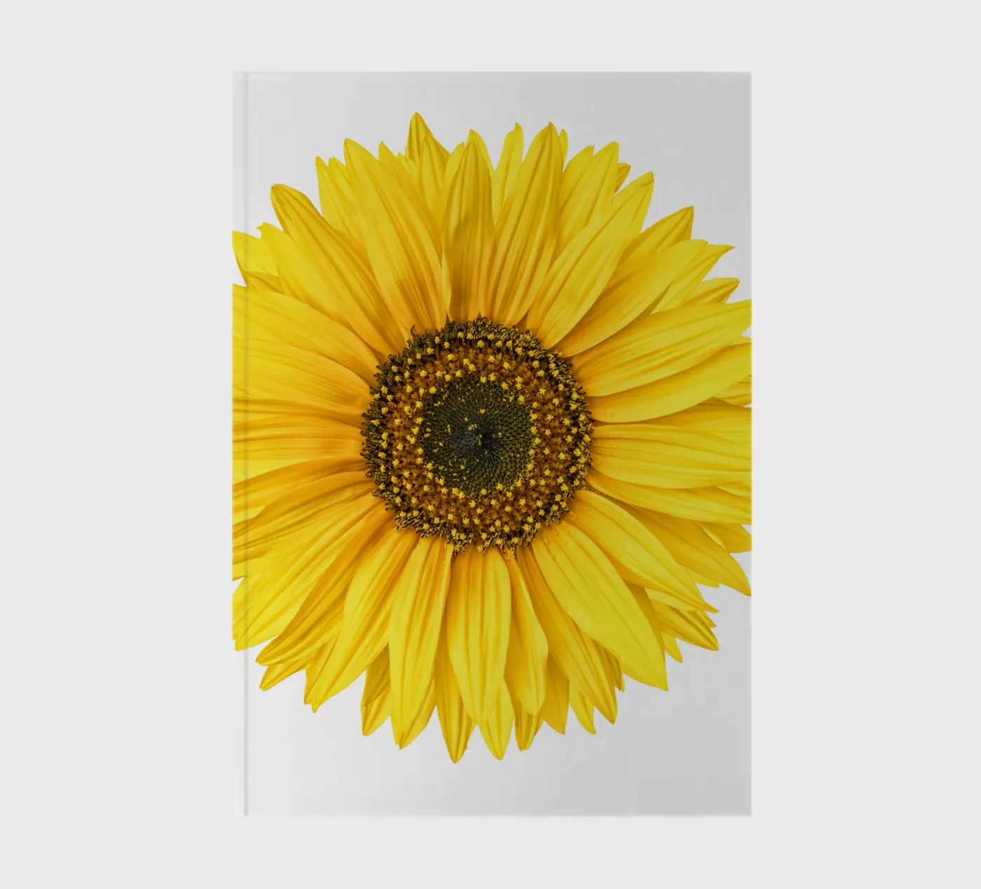 Sunflower notebook by Curious Collections by Marielle Leenders