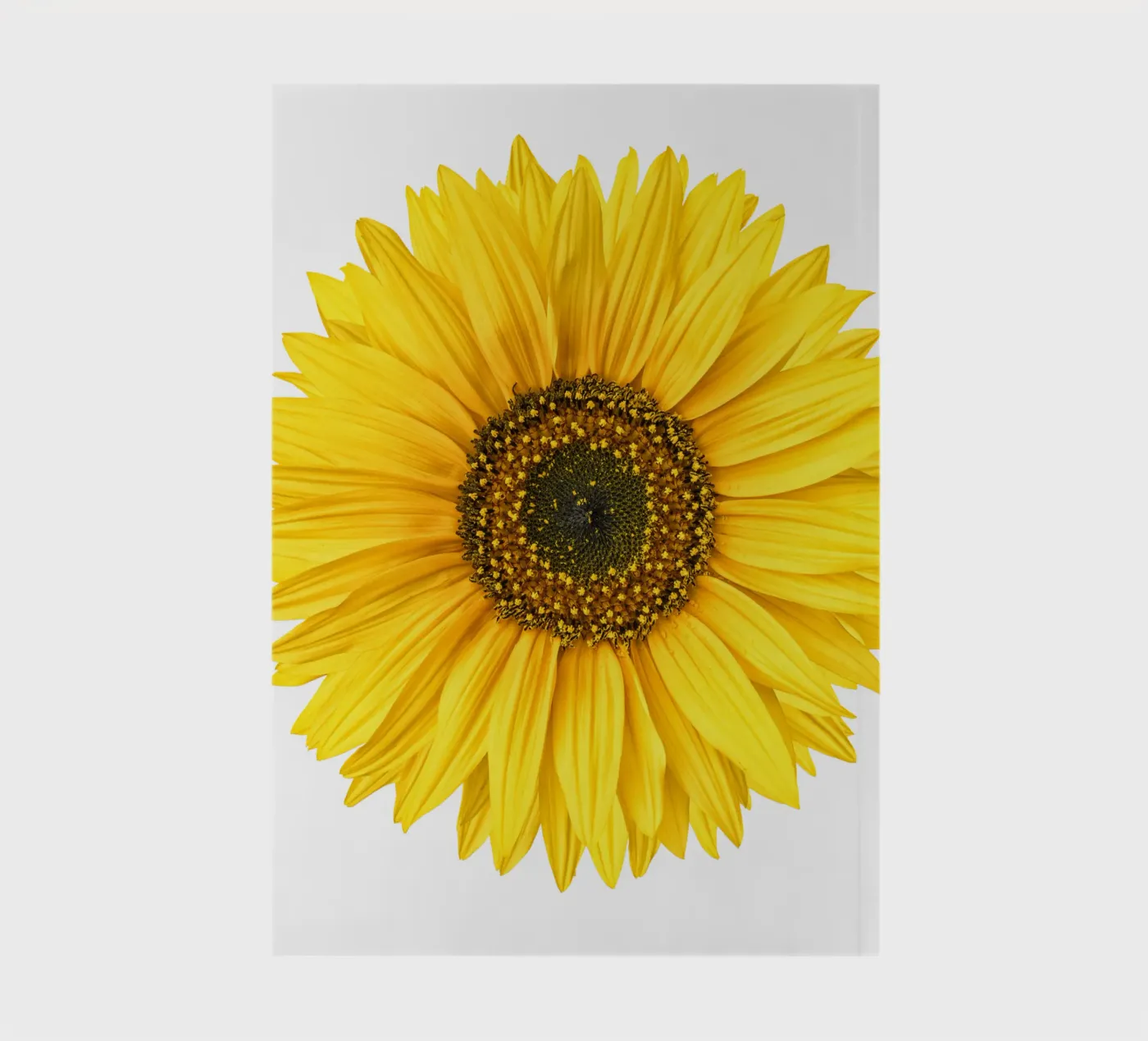 Sunflower notebook by Curious Collections by Marielle Leenders