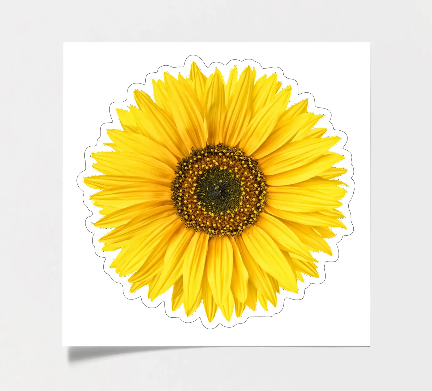 Sunflower sticker sheet by Curious Collections by Marielle Leenders