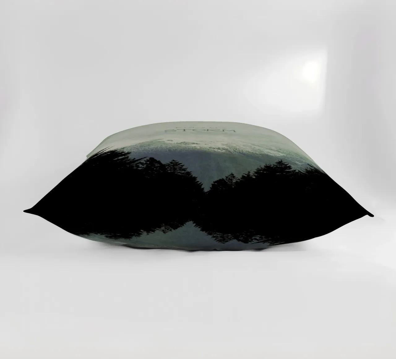 Brave the Storm Kissen von Robin Delean