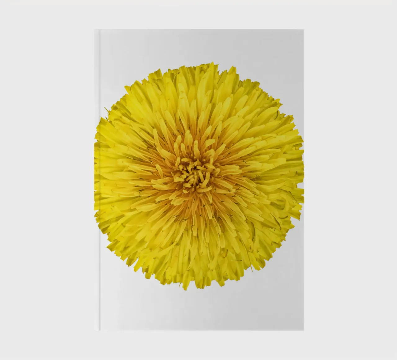 Flor de diente de león cuaderno de Curious Collections by Marielle Leenders