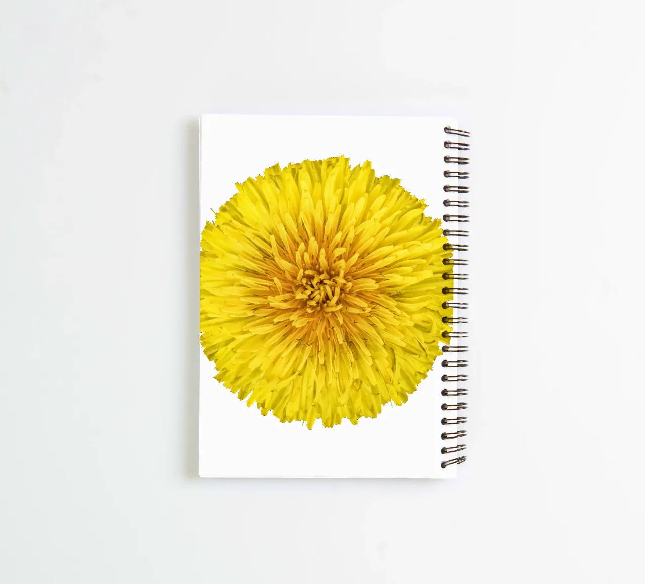 Dandelion Flower spiral notebook by Curious Collections by Marielle Leenders